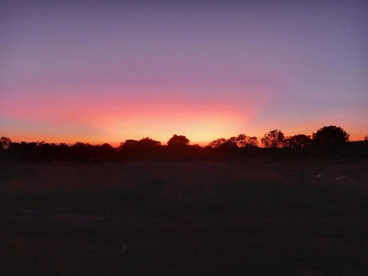 Mara Maisha Camp Talek Bagian luar foto