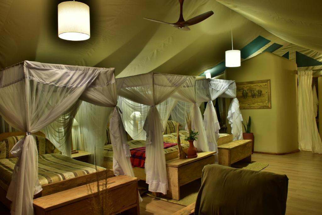 Mara Maisha Camp Talek Bagian luar foto